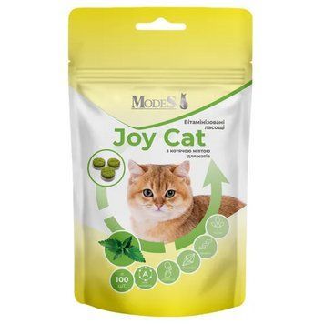 MODES Joy Cat Вітамінізовані ласощі з котячою м&rsquo;ятою для котів - 35 г ЗС000330 фото