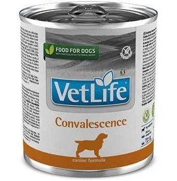 Farmina Vet Life Convalescence &ndash;300гр 166136/02789 фото