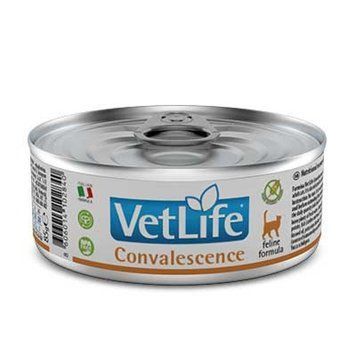 Farmina Vet Life Convalescence Cat - консервы Фармина для кошек в период выздоровления &ndash;85гр 166138/02840 фото